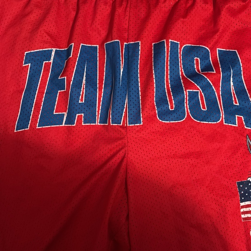 Team USA Red Men's Shorts - Picture 3 of 6